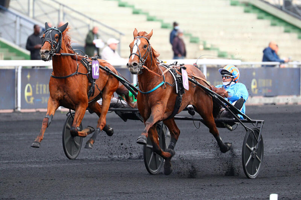 Photo Neo de Joudes